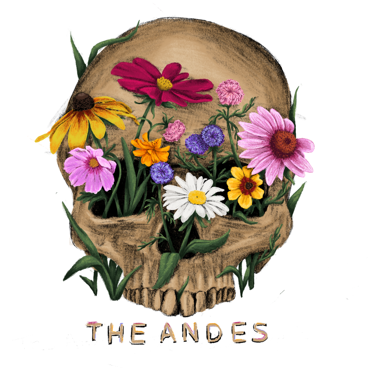 Illustration of a skull with wildflowers growing from the eye sockets, labeled The Andes
